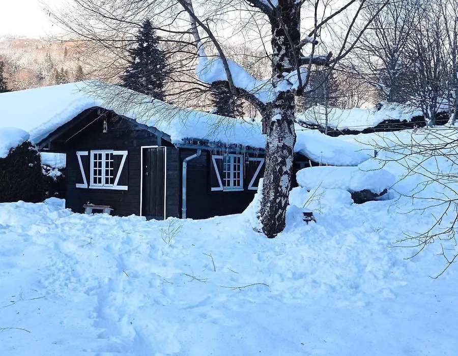 Chalet des cascades-1